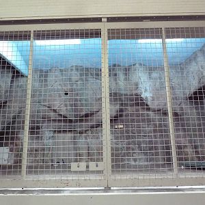 1914 Koetthoefer Animal Building - Empty Indoor Exhibit (old tiger enclosur