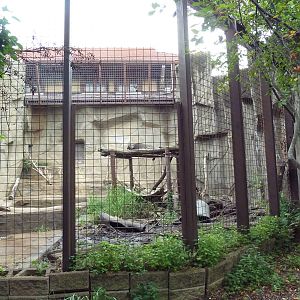 1914 Koetthoefer Animal Building - Sun Bear Outdoor Exhibit
