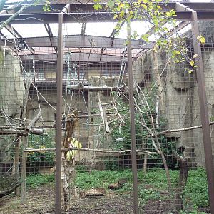 1914 Koetthoefer Animal Building - Mueller's Gibbon Outdoor Exhibit