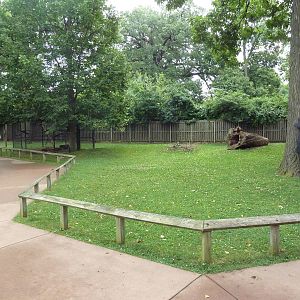 Wallaby WalkAbout - Tammar Wallaby/Wallaroo Exhibit