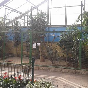 Aviary Vogelparadies halle