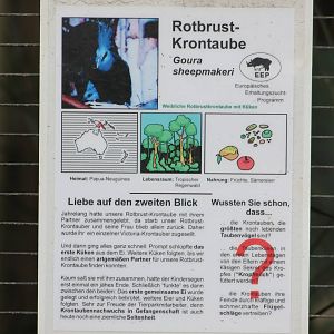 Sign Red-breasted crowned pigeon