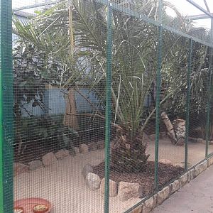 Aviary Vogelparadies halle