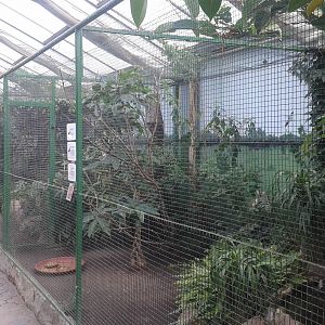 Aviaries Vogelparadies halle