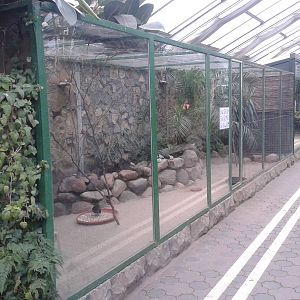 Aviaries ( front ) and Monkey indoor enclosure ( back )