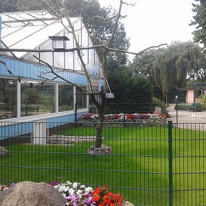 Cotton-top tamarin outdoor enclosure