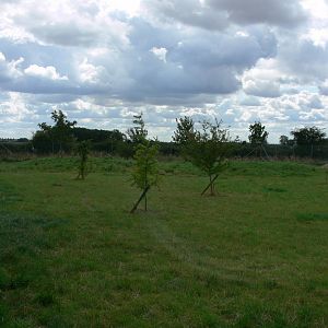 Maned Wolf Enclosure at Hamerton Zoo, 23/08/14