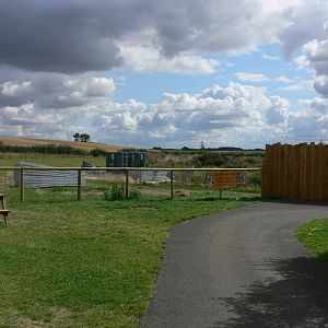 Malayan Tiger Exhibit construction at Hamerton Zoo, 23/08/14