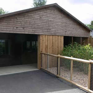 Tiger House at Hamerton Zoo, 23/08/14