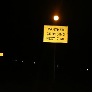 florida panther road sign