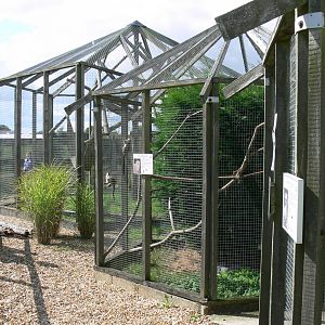 Primate Enclosures at Hamerton Zoo, 23/08/14