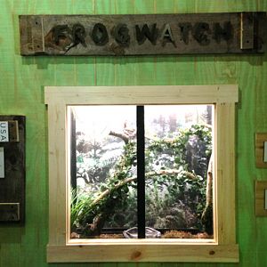 Frogwatch USA Exhibit of local Appalachian species