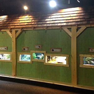 New Aquatic exhibits