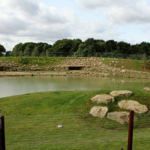 Polar bear enclosure 24-8-14