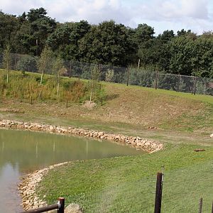 Polar bear 1st enclosure 24-8-14