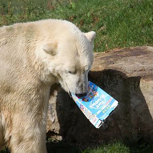 Victor with his breakfast 24-8-14