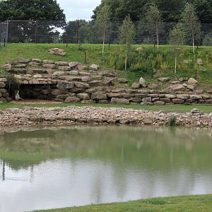 Victor in his den 24-8-14