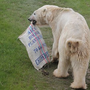 Enrichment items 24-8-14