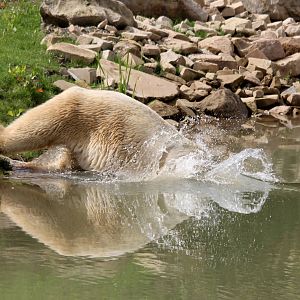 Victor taking the plunge 24-8-14