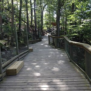 Leopard boardwalk from the Pallas?s cats to the leopards.