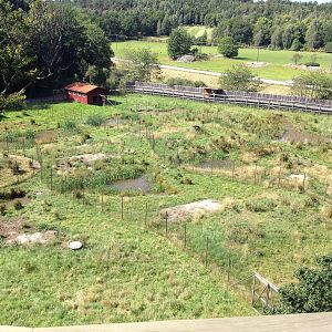 View over the Wetland and the crane field from the leopard boardwalk.