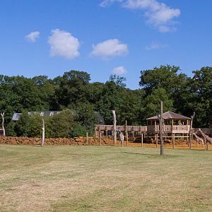 Reticulated giraffe enclosure : Whipsnade : 03 Aug 2014