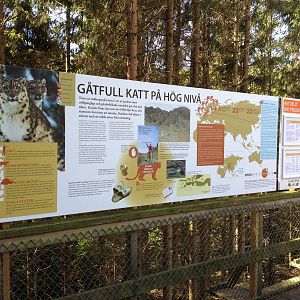 Snow leopard info sign