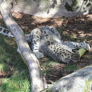 What can I find here?