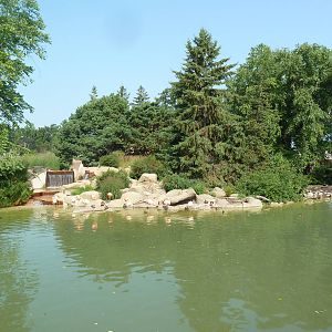 Caribbean Flamingo + Chilean Flamingo Exhibit