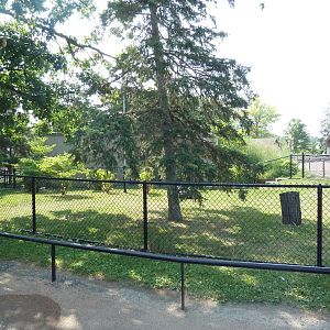 Galapagos Tortoise Exhibit