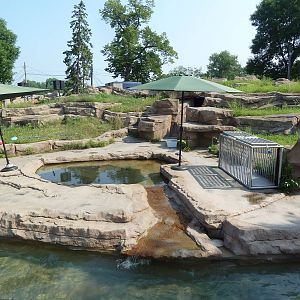 California Sea Lion/Harbour Seal Exhibit