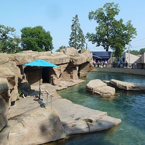 California Sea Lion/Harbour Seal Exhibit