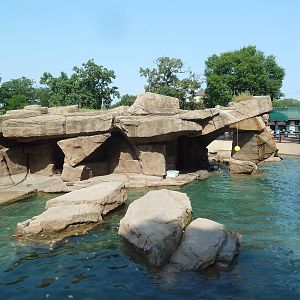 California Sea Lion/Harbour Seal Exhibit