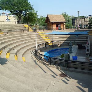California Sea Lion Arena