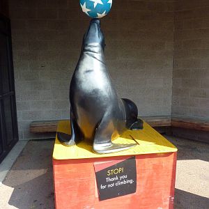 California Sea Lion Statue
