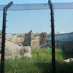 Polar Bear Odyssey Exhibit #1 (New in 2010)