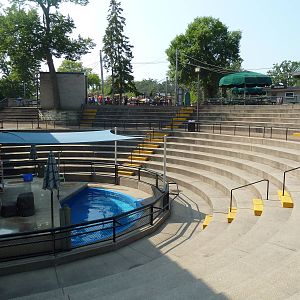 California Sea Lion Arena