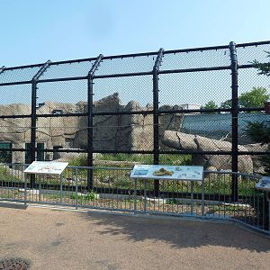 Polar Bear Odyssey Exhibit #1 (New in 2010)