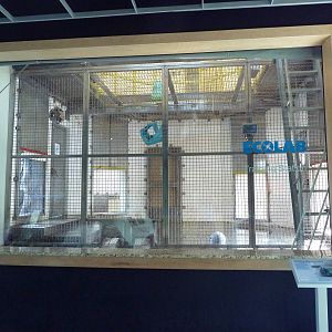 Polar Bear Odyssey Indoor Zone (New in 2010)