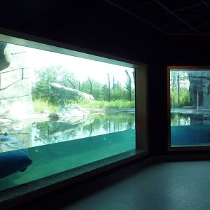 Polar Bear Odyssey Exhibit #2 (New in 2010)