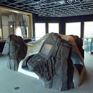 Polar Bear Odyssey Indoor Zone (New in 2010)