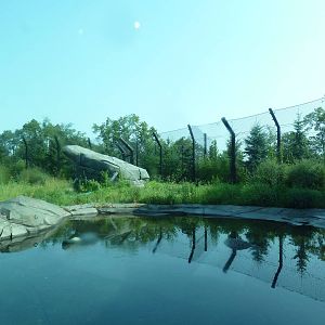 Polar Bear Odyssey Exhibit #2 (New in 2010)