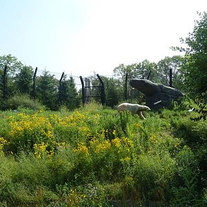 Polar Bear Odyssey Exhibit #2 (New in 2010)