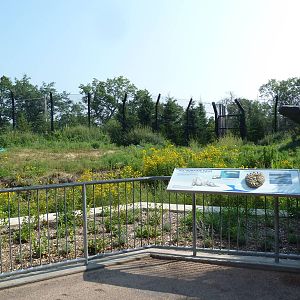 Polar Bear Odyssey Exhibit #2 (New in 2010)
