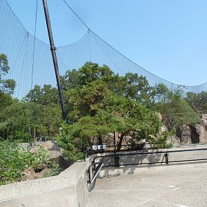 Cougar + Snow Leopard Exhibits