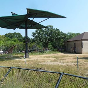 Reticulated Giraffe Exhibit