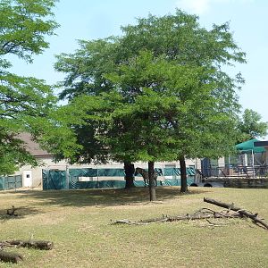 Lesser Kudu/Grant's Zebra Exhibit