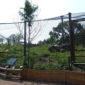 Gorilla Forest (New in 2013)
