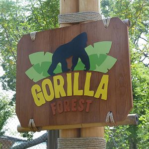 Gorilla Forest Sign (New in 2013)