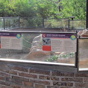 Arizona Trail - Reptile Exhibits